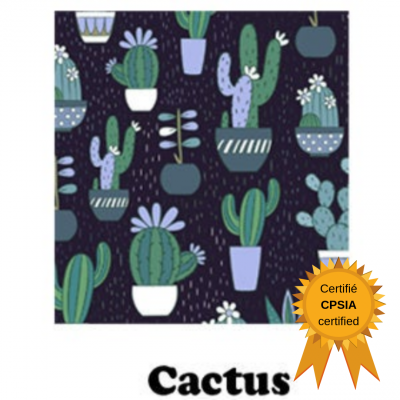 Pul cactus